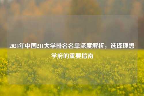 2024年中国211大学排名名单深度解析，选择理想学府的重要指南