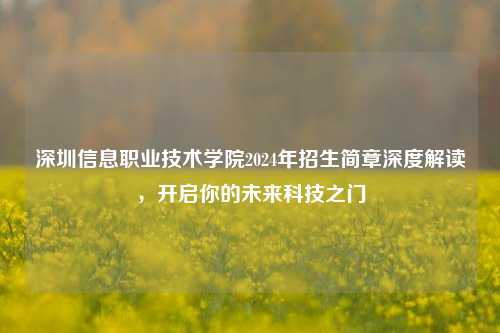 深圳信息职业技术学院2024年招生简章深度解读，开启你的未来科技之门