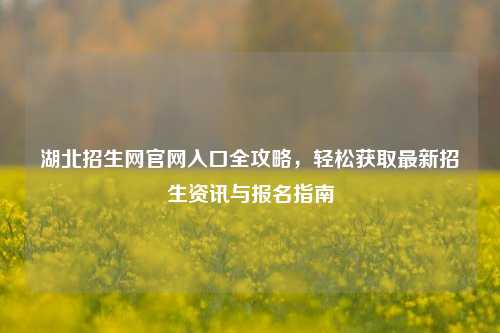 湖北招生网官网入口全攻略，轻松获取最新招生资讯与报名指南
