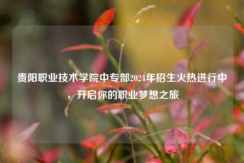 贵阳职业技术学院中专部2024年招生火热进行中，开启你的职业梦想之旅