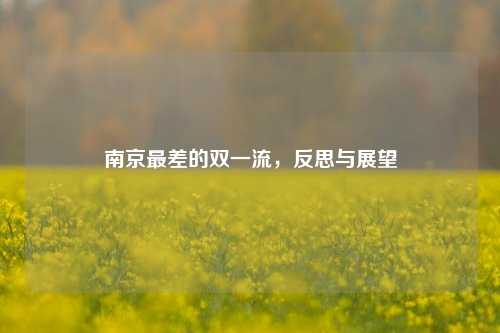 南京最差的双一流，反思与展望
