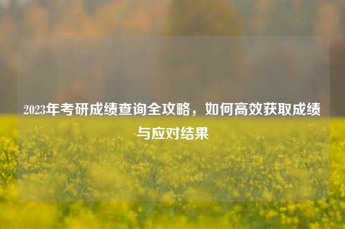2023年考研成绩查询全攻略，如何高效获取成绩与应对结果