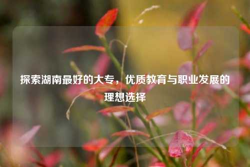 探索湖南最好的大专，优质教育与职业发展的理想选择