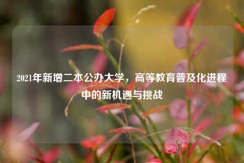 2021年新增二本公办大学，高等教育普及化进程中的新机遇与挑战