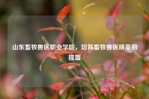 山东畜牧兽医职业学院，培育畜牧兽医精英的摇篮