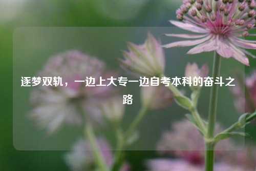 逐梦双轨，一边上大专一边自考本科的奋斗之路