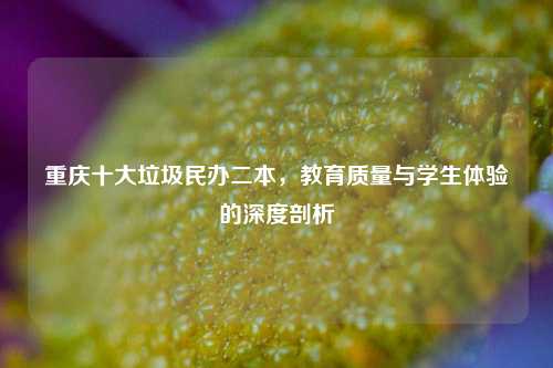 重庆十大垃圾民办二本，教育质量与学生体验的深度剖析