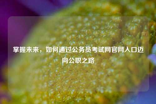 掌握未来，如何通过公务员考试网官网入口迈向公职之路