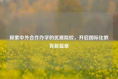 探索中外合作办学的优质院校,开启国际化教育新篇章