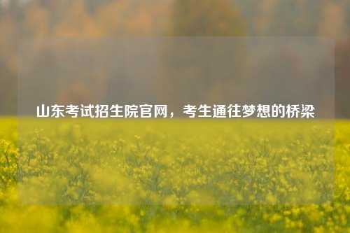 山东考试招生院官网，考生通往梦想的桥梁