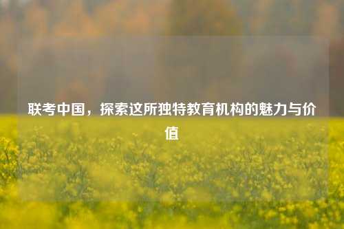 联考中国，探索这所独特教育机构的魅力与价值