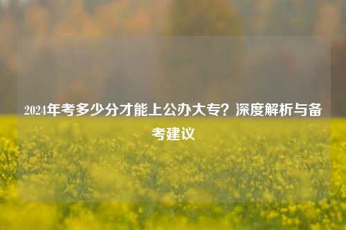 2024年考多少分才能上公办大专？深度解析与备考建议
