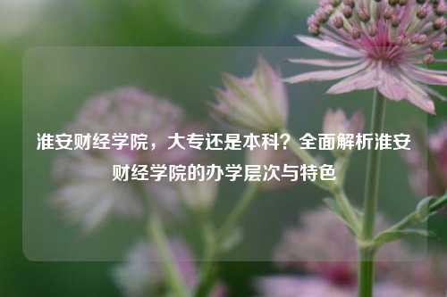 淮安财经学院，大专还是本科？全面解析淮安财经学院的办学层次与特色