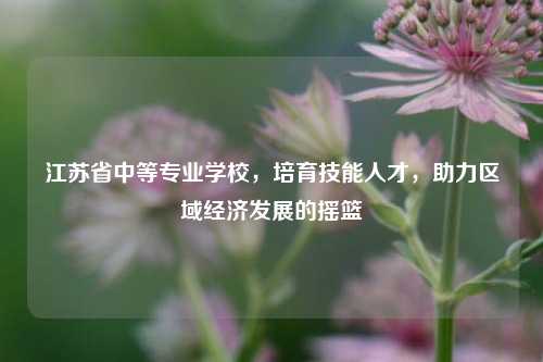 江苏省中等专业学校，培育技能人才，助力区域经济发展的摇篮