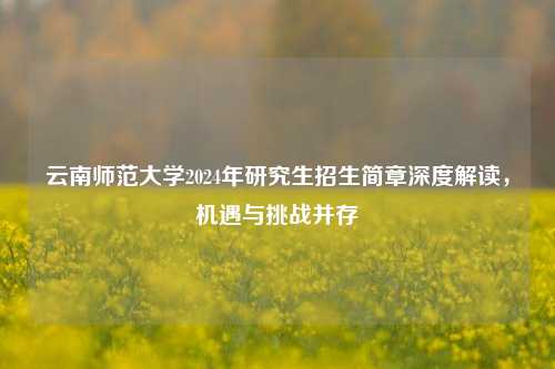 云南师范大学2024年研究生招生简章深度解读，机遇与挑战并存