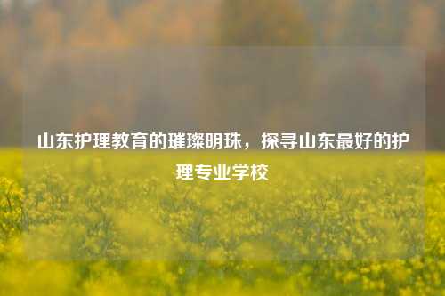 山东护理教育的璀璨明珠，探寻山东最好的护理专业学校