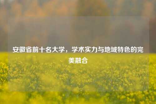 安徽省前十名大学，学术实力与地域特色的完美融合