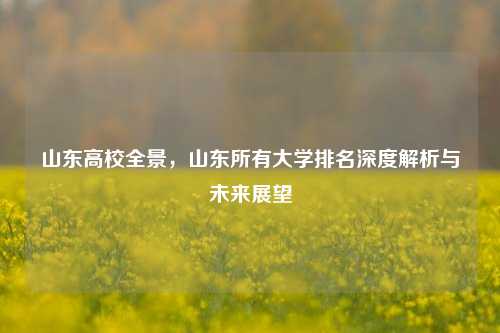 山东高校全景，山东所有大学排名深度解析与未来展望