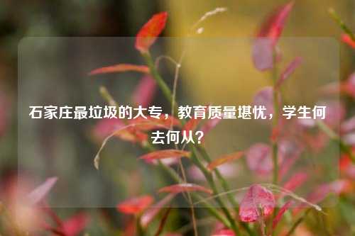 石家庄最垃圾的大专，教育质量堪忧，学生何去何从？