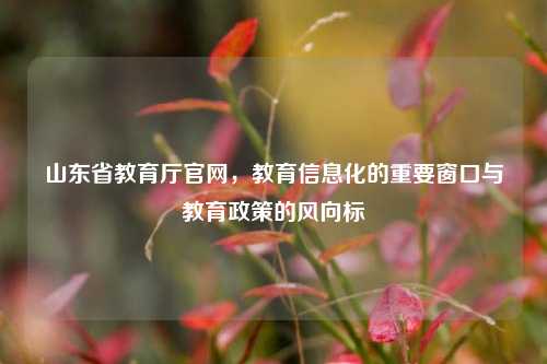 山东省教育厅官网，教育信息化的重要窗口与教育政策的风向标