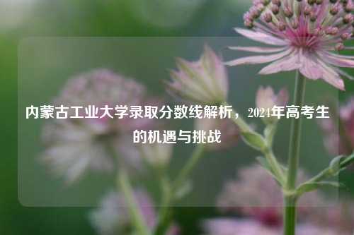 内蒙古工业大学录取分数线解析，2024年高考生的机遇与挑战