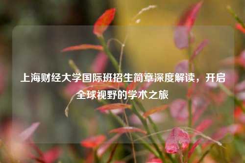 上海财经大学国际班招生简章深度解读，开启全球视野的学术之旅