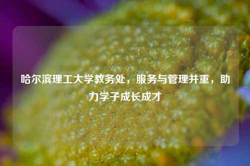 哈尔滨理工大学教务处，服务与管理并重，助力学子成长成才