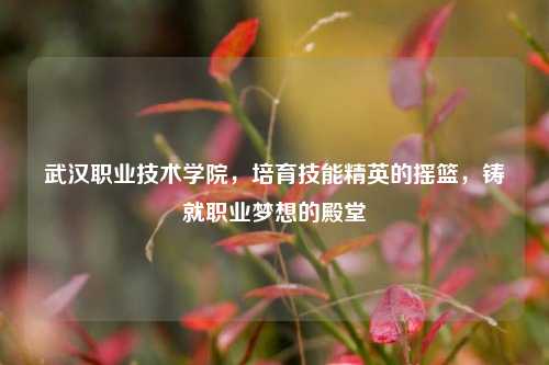 武汉职业技术学院，培育技能精英的摇篮，铸就职业梦想的殿堂