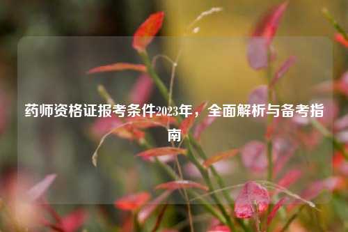 药师资格证报考条件2023年，全面解析与备考指南