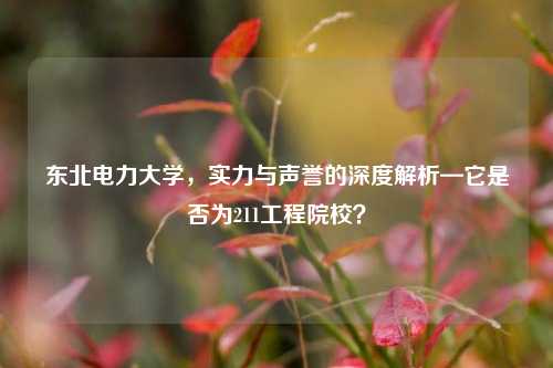 东北电力大学，实力与声誉的深度解析—它是否为211工程院校？
