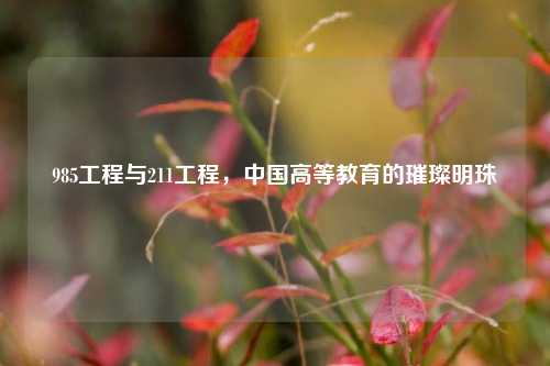 985工程与211工程，中国高等教育的璀璨明珠