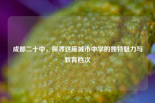 成都二十中，探寻这座城市中学的独特魅力与教育档次
