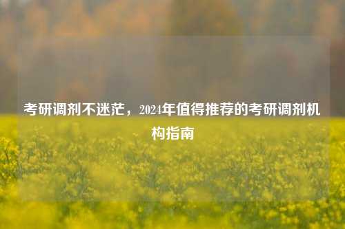 考研调剂不迷茫，2024年值得推荐的考研调剂机构指南